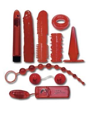 You2Toys Red Roses Toy Set