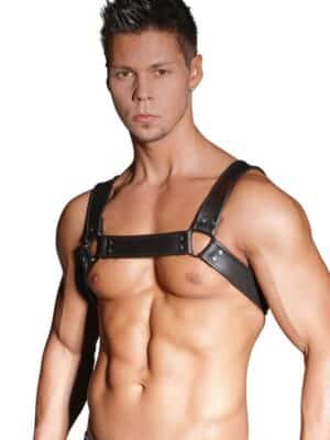 Zado Leder-Harness
